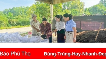 Phát triển nuôi giun quế mang lại nhiều lợi ích cho nông nghiệp và môi trường