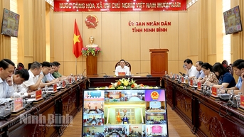Hội nghị trực tuyến về thi hành Luật Đất đai, Luật Nhà ở và Luật Kinh doanh bất động sản