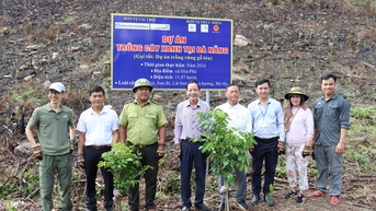 ជួយ​ប្រជាពលរដ្ឋ​ដាំ​ឈើ​ប្រណីត​លើ​ផ្ទៃដី​ជាង ១៥​ហិកតារ