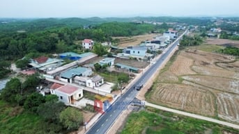 Niềm vui đón Xuân trên những cung đường nông thôn mới