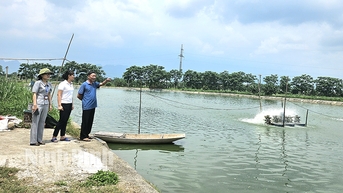 ការអភិវឌ្ឍន៍របស់ ឡាង ផុង | baoninhbinh.org.vn