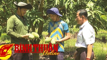 Hướng đi của Hợp tác xã xoài Tân Đức
