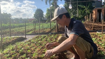 Xóm Đảo vào vụ hoa tết