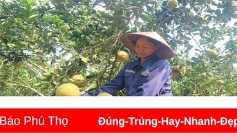 Quan tâm, hỗ trợ hội viên, phụ nữ nghèo
