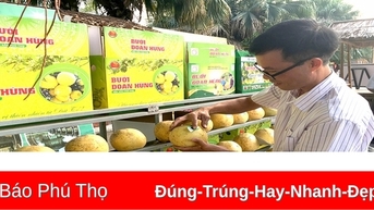 Tạo động lực tăng trưởng từ phát triển kinh tế số