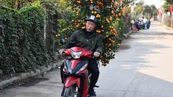 Dự báo thời tiết 21/1/2025: Miền Bắc giá rét, miền Nam có mưa rào