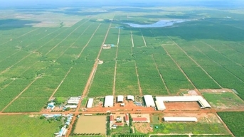 ក្រុមហ៊ុន HAGL Agrico បានសងបំណុលទាំងអស់ទៅឱ្យក្រុមហ៊ុន Hoang Anh Gia Lai ដោយទទួលបានដីកៅស៊ូ និងដូងប្រេងជាង 32,500 ហិកតាមកវិញ។