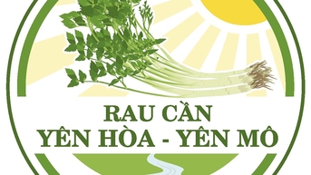 Xây dựng, quản lý và phát triển Nhãn hiệu chứng nhận "Rau cần Yên Hòa" cho sản phẩm rau cần của xã Yên Hòa, huyện Yên Mô, tỉnh Ninh Bình