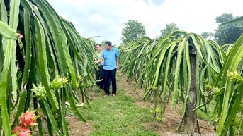Cơ cấu lại ngành Nông nghiệp: Cơ hội và thách thức - Bài cuối: Để nông nghiệp là trụ đỡ của nền kinh tế