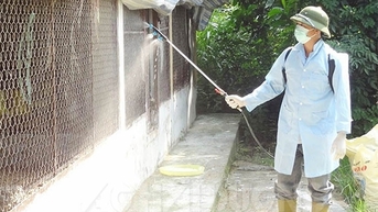 Khắc phục chăn nuôi sau bão số 3 thế nào?