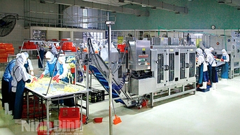 ការលើកកម្ពស់ការបង្កើតថ្មីនៅក្នុងអាជីវកម្ម