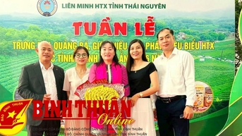 Bình Thuận tham gia Tuần lễ trưng bày, giới thiệu sản phẩm HTX tiêu biểu tại Thái Nguyên