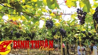Sản phẩm đặc trưng của địa phương gắn với du lịch nông thôn