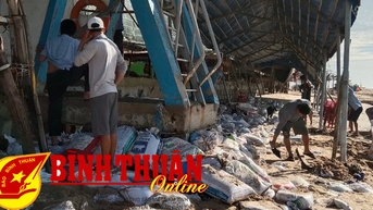Rà soát, kiểm tra thực hiện Đề án phòng, chống sạt lở bờ sông, bờ biển đến năm 2030