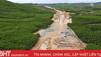 Giải bài toán trồng thay thế 57,42 ha rừng ảnh hưởng thi công cao tốc Bắc