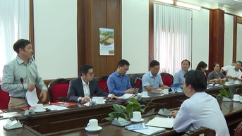ការកសាង Gia Nghia ទៅជាតំបន់ទីក្រុងស្នូល អភិវឌ្ឍន៍ និងសំបូរទៅដោយអត្តសញ្ញាណ