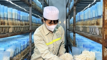 Doanh nghiệp tăng cường sản xuất hàng hóa phục vụ Tết
