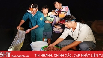 Xem người dân Hà Tĩnh thu hoạch rươi, thu tiền triệu mỗi đêm