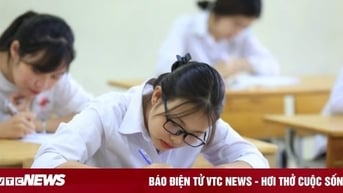 Bộ Giáo dục và Đào tạo công bố đề, đáp án 13 môn thi học sinh giỏi quốc gia