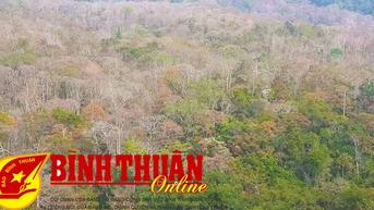 Du lịch Phan Dũng, cung đường xanh