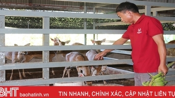 Xã ven đô Hà Tĩnh đa dạng mô hình kinh tế gắn với xây dựng nông thôn mới