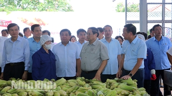 នាយករដ្ឋមន្ត្រី Pham Minh Chinh បានអញ្ជើញទៅទស្សនា និងលើកទឹកចិត្តដល់ការផលិតនៅក្រុមហ៊ុន Dong Giao Food Export Joint Stock Company។