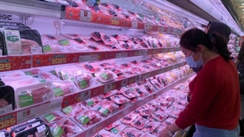 Giá lợn hơi toàn quốc sụt giảm cận Tết