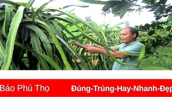 Cẩm Khê đẩy mạnh xuất khẩu lao động