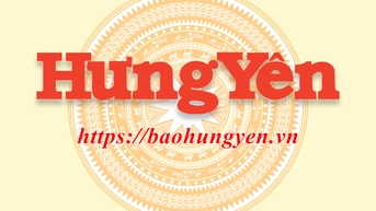 Tập trung chỉ đạo, triển khai các biện pháp nhanh chóng phục hồi sản xuất nông nghiệp sau bão số 3 và mưa lũ