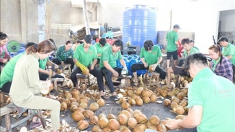 Dấu ấn mới trong xuất khẩu rau quả Việt Nam