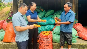 Cán bộ nữ tham gia cấp ủy cơ sở: Tăng cả chất và lượng