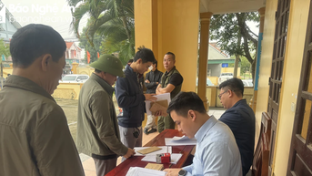 Hơn 200 lô đất ở Nam Đàn được đấu giá cao gần gấp đôi khởi điểm