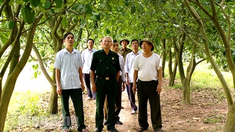 Cựu chiến binh huyện Yên Mô giúp nhau phát triển kinh tế