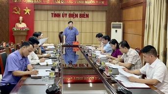Nâng cao hiệu quả hoạt động của Ban Chỉ đạo PCTN, tiêu cực tỉnh