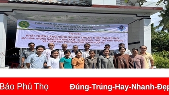 Khoa học và công nghệ phục vụ đắc lực nhiệm vụ phát triển kinh tế