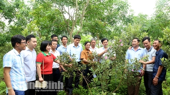 Hội thảo đầu bờ đề tài Ứng dụng KHCN xây dựng mô hình trồng cây sim làm nguyên liệu và phục vụ du lịch