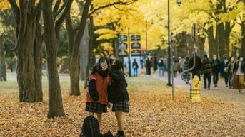 베트남 관광객들, 가을 투어를 일찍 예약하다