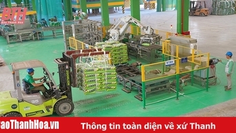 Sẵn sàng nguồn vật tư cho sản xuất vụ chiêm xuân
