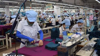 Thưởng Tết ở Đà Nẵng cao nhất hơn 1 tỷ đồng