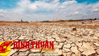 Lo sinh kế vùng hạn Hàm Thuận Nam