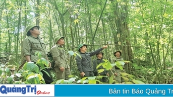 អត្ថប្រយោជន៍ទ្វេរដងពីការបង់ថ្លៃសេវាបរិស្ថានព្រៃឈើ