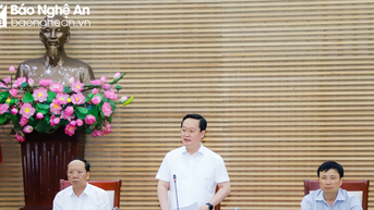 Chủ tịch UBND tỉnh: Tập trung hoàn thành các nhiệm vụ trọng tâm, thúc đẩy hoạt động sản xuất, kinh doanh