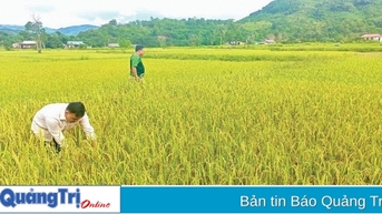 Lan tỏa tinh hoa của núi rừng