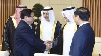Thúc đẩy hiện thực hóa thỏa thuận cấp cao Việt Nam với Saudi Arabia, UAE, Qatar
