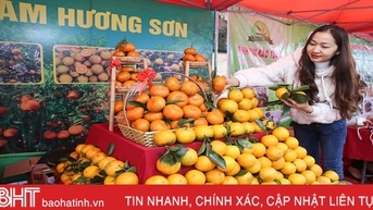 Lễ hội cam và các sản phẩm nông nghiệp Hà Tĩnh được tổ chức từ 24-26/11