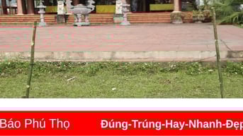 Tiếng vọng văn hóa Mường
