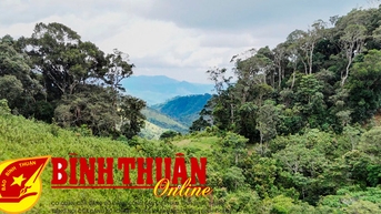 អេកូទេសចរណ៍ព្រៃចាស់