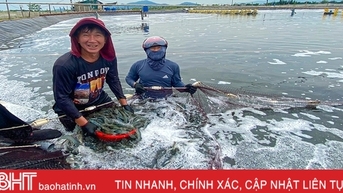 Mô hình nuôi tôm công nghệ tuần hoàn nước lần đầu được áp dụng thành công ở Kỳ Anh