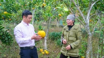 Tạo động lực cho người dân phát triển sản xuất