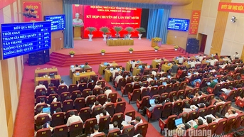 Nghị quyết về việc chuyển mục đích sử dụng đất trồng lúa, đất rừng sản xuất để thực hiện các dự án năm 2024 trên địa bàn tỉnh Tuyên Quang